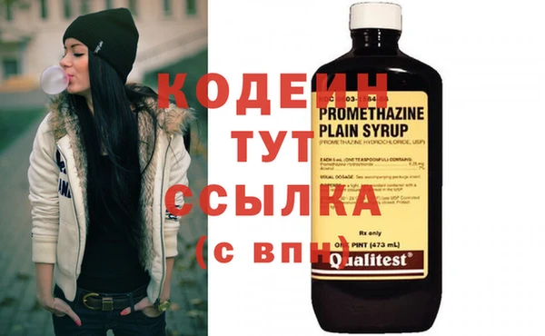 ешки Алзамай