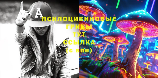 ешки Алзамай