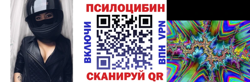 blacksprut как войти  Байкальск  Галлюциногенные грибы GOLDEN TEACHER  где можно купить наркотик 